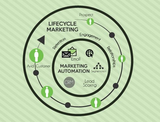 life cycle segmentation